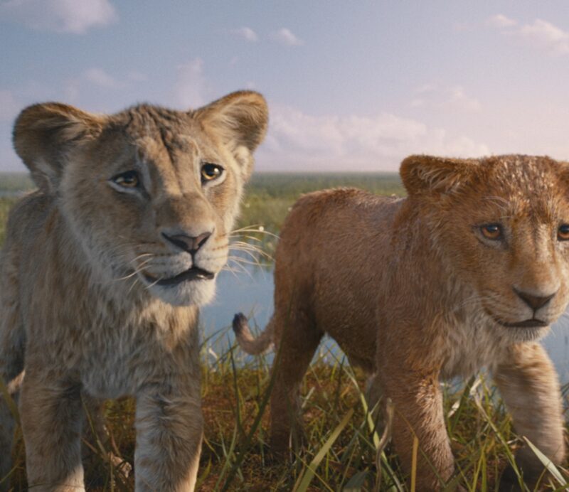 映画『ライオン・キング：ムファサ』解説 人種とアイデンティティの視点で紐解く